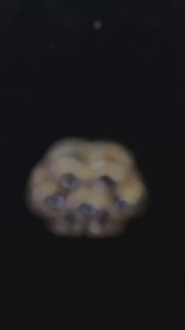 Sunehri Noor Drop Earring